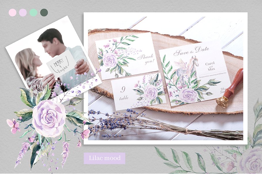 多用途魔法天马花卉系列水彩画集插图(7)