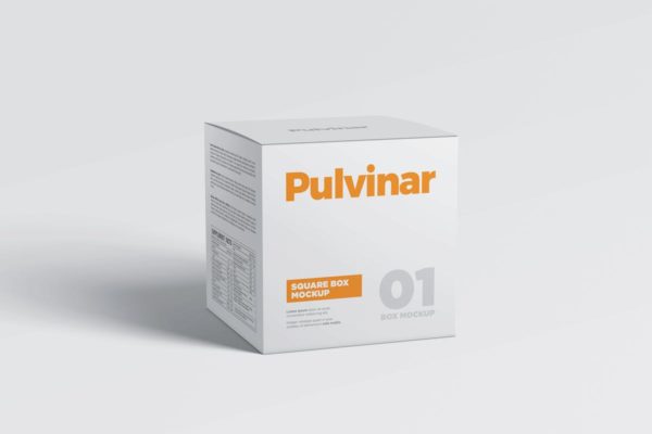 化妆品/药物纸盒包装样机模板 Box / Packaging MockUp – Square