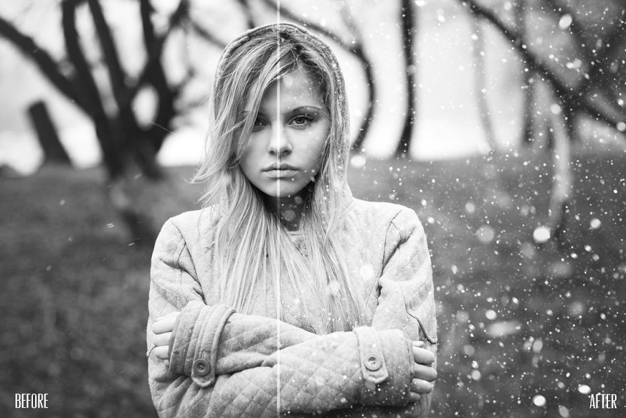 10款飘落雪花效果照片装饰叠层 10 Snowflake Photo Overlays插图(2)