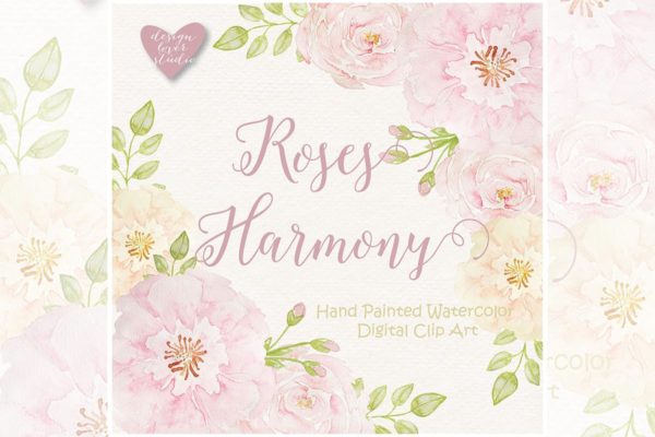 腮红玫瑰水彩插画剪贴画素材 Watercolor Rose Blush design