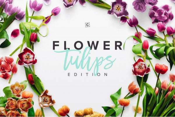 郁金香花卉场景样机 Flower Tulips Edition – Custom Scene[1.18GB]