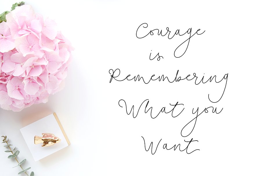 纤细体英文手写字体&100款水彩/金属纹理 Soft Whisperings Font and 100 Extras插图(6)