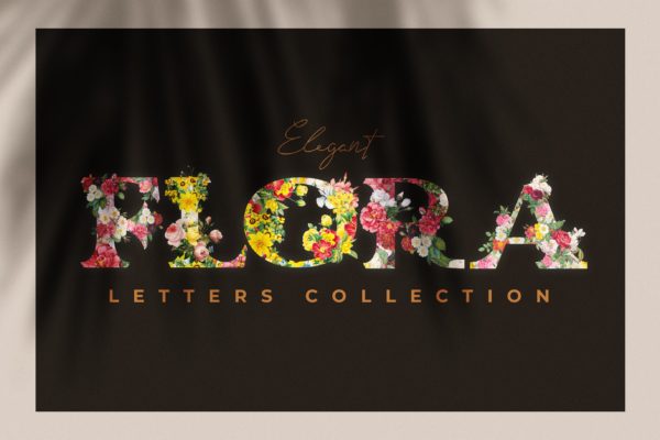 复古风格花卉字母&amp;数字设计PNG素材 Vintage Flower Alphabet