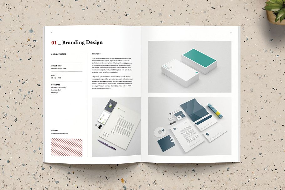 多用途时尚摄影/产品宣传册插图(4)