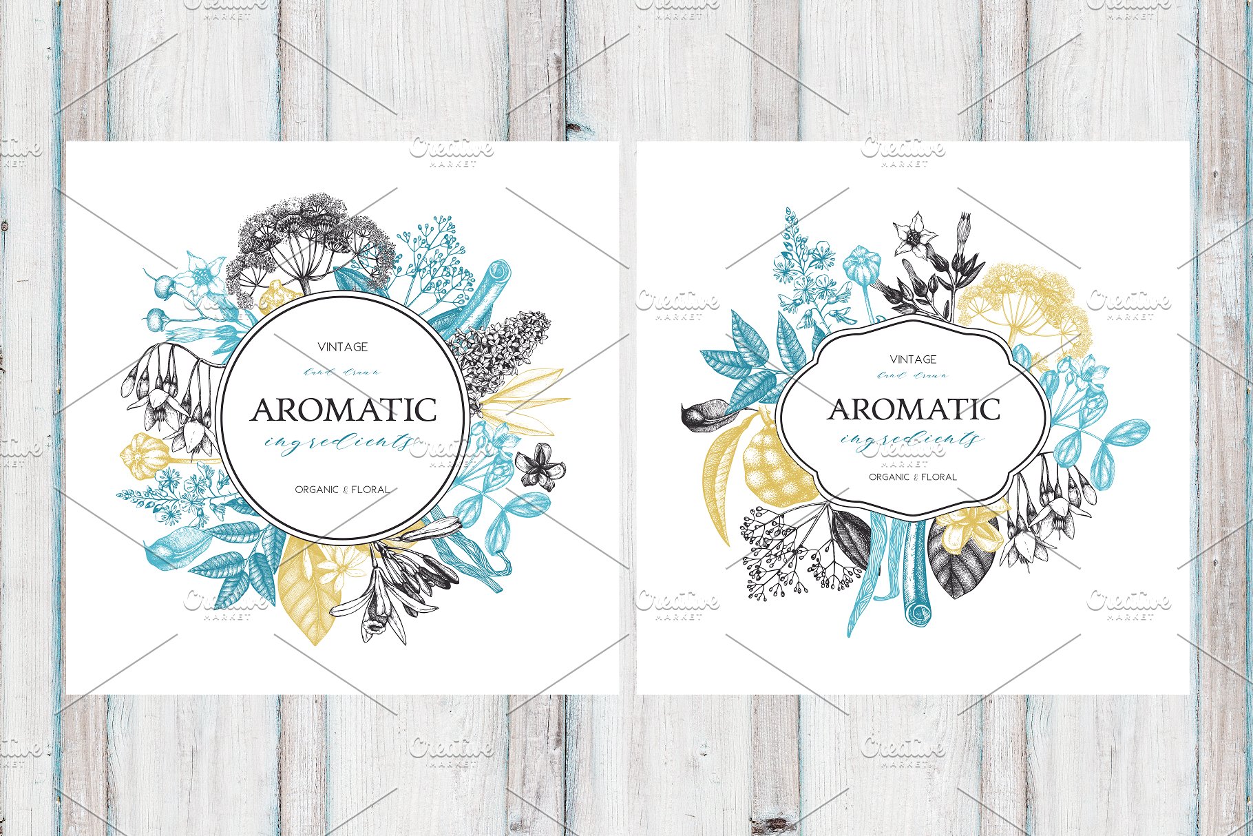 香料和化妆品成分水墨手绘插图集V.2 Perfumery & Cosmetic Ingredients v.2插图(3)