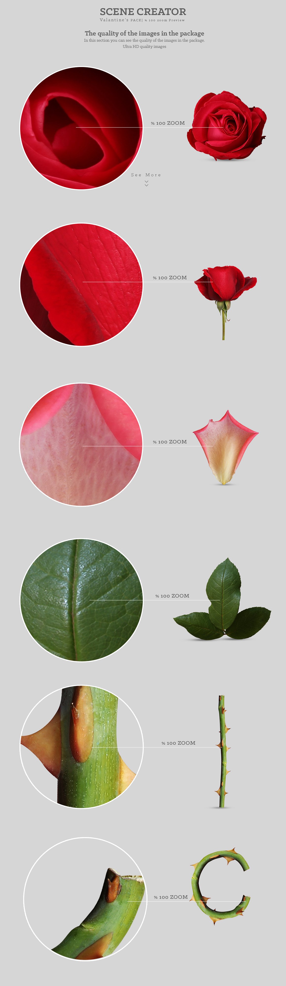 浪漫爱情(情人节)玫瑰花素材大合集1.6G[psd,eps,png]插图(4)