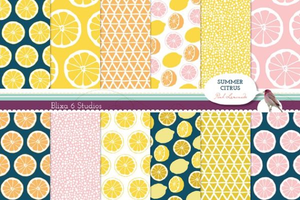 充满夏季气息的柑橘和柠檬图案纹理 Summer Citrus Digital Lemon Patterns