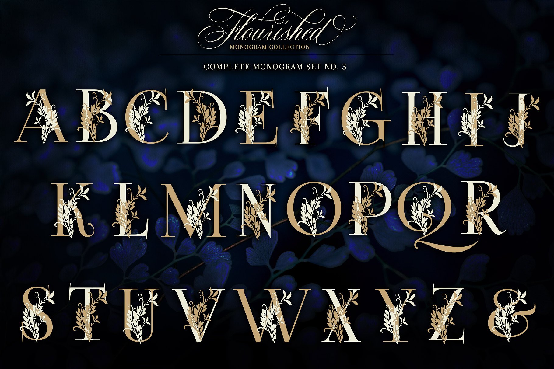 优雅手绘花卉装饰字母矢量素材 Flourished Monogram Collection插图(6)