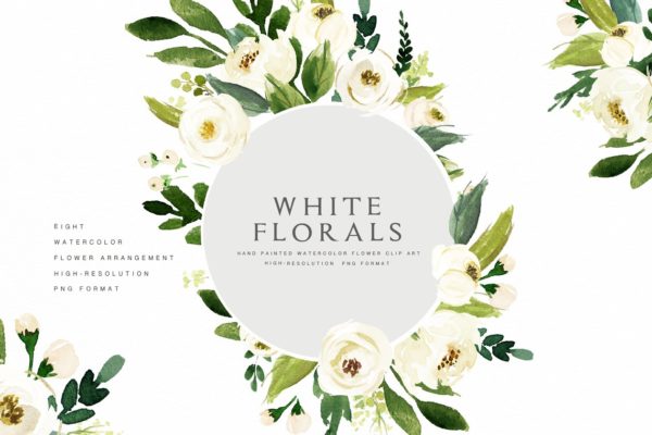 水彩花卉素材 Watercolor White Flower Clip Art