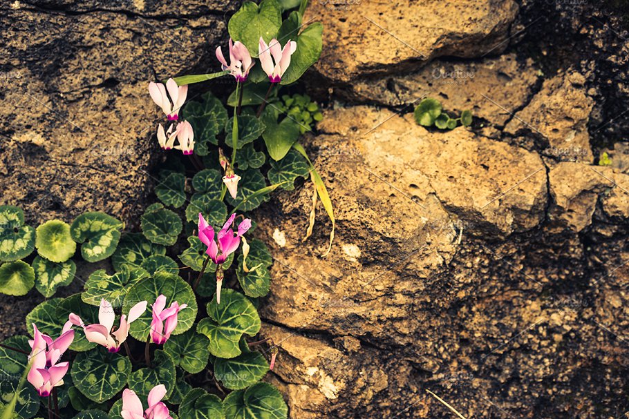 高清自然真实岩石石头照片素材 Rock Solid – Rock & Stone Collection插图(13)