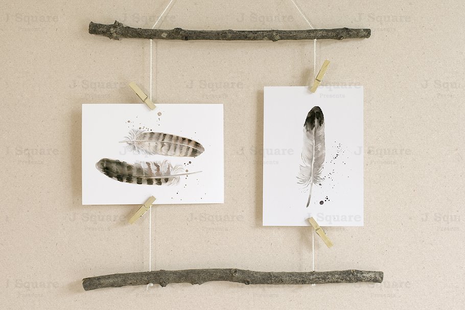 彩色水彩山鸡羽毛剪贴画 Watercolor Feather Clip Arts插图(4)