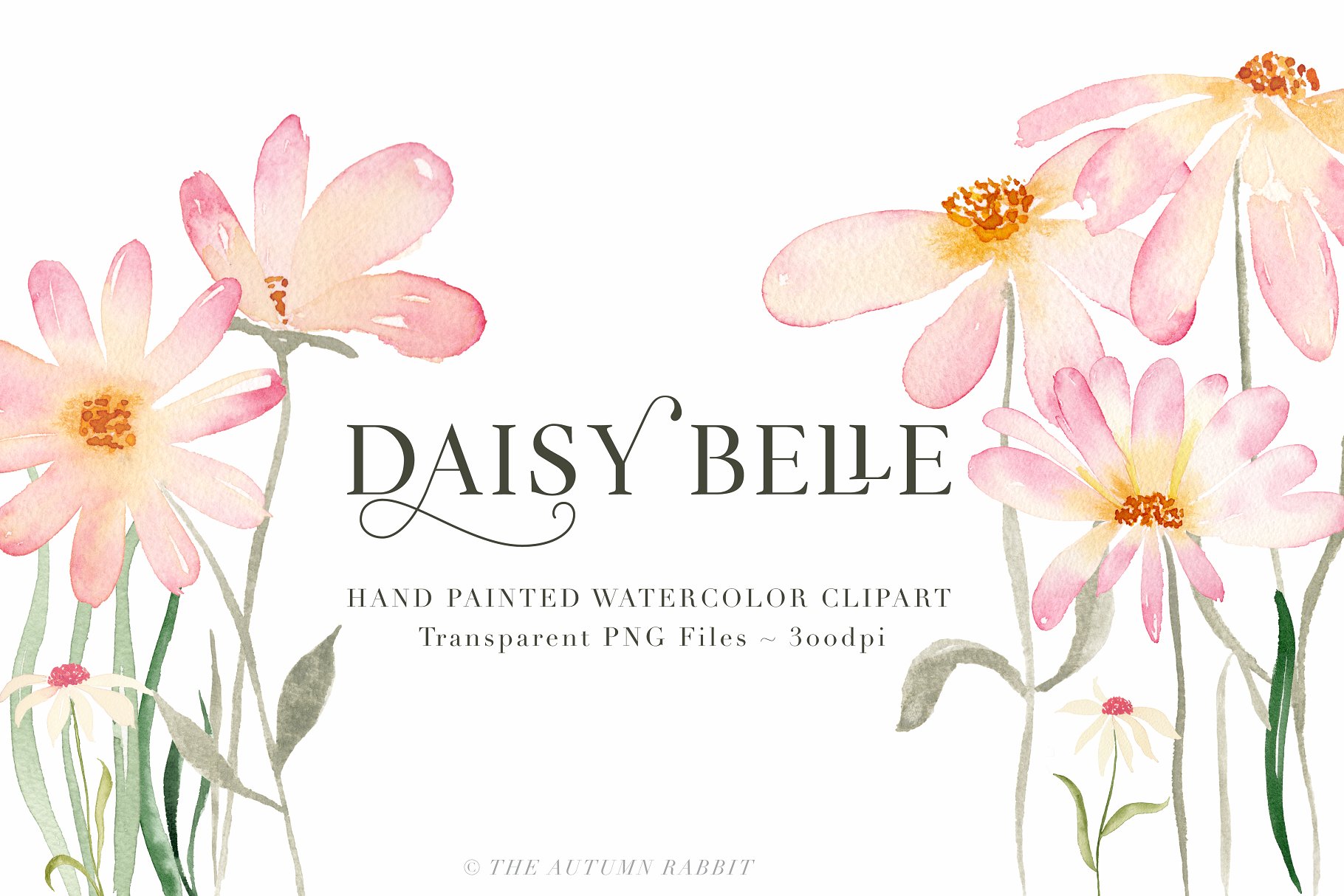 独立手绘花卉树叶图像 Daisy Belle – Watercolor Flowers插图