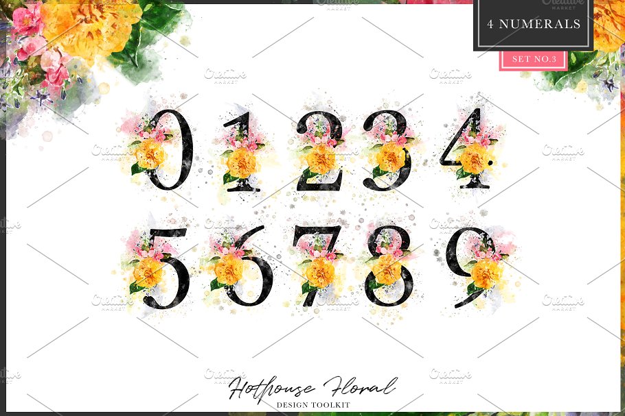 数码绘制温室花卉设计素材包(独立花卉元素&花式字母数字) Hothouse Floral Design ToolKit插图(13)