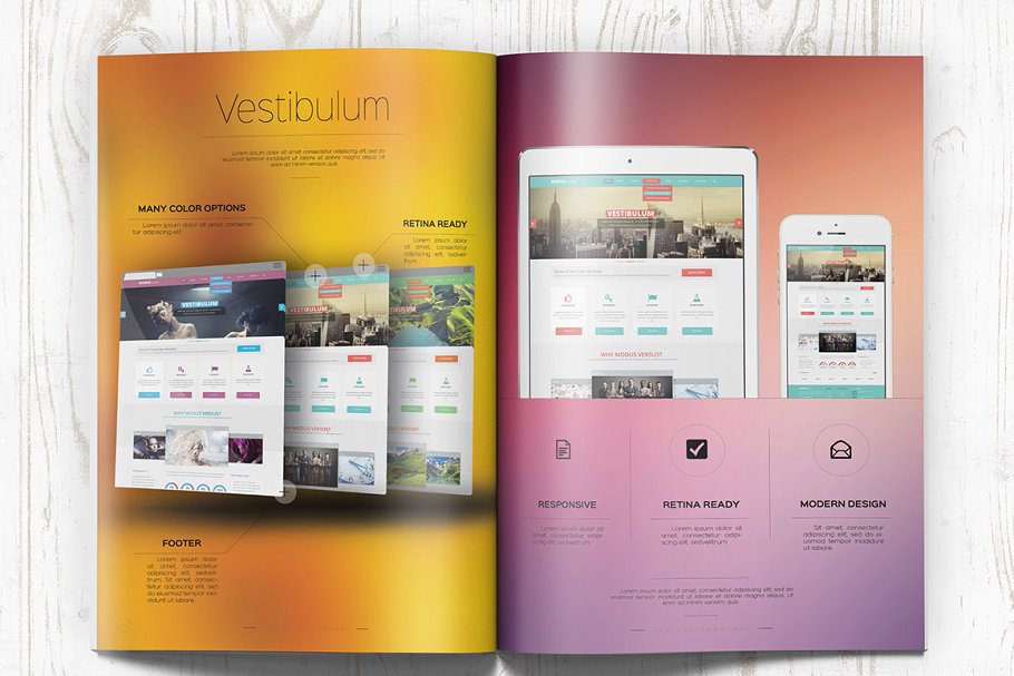 网页设计/APP设计宣传画册样机模板 Web Design Proposal插图(2)