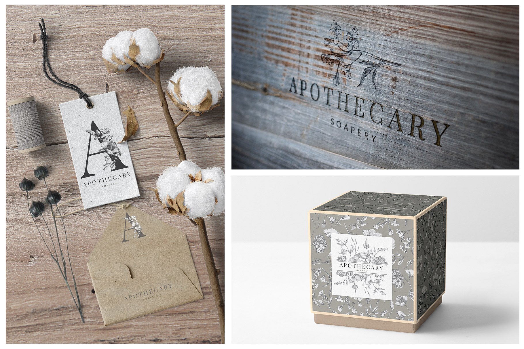 植物与字母的奇思妙想插画 Botanical Curiosities Monograms插图(3)