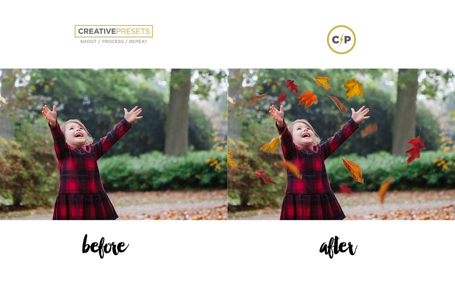 秋季枫叶落叶叠层背景 Falling Leaves Overlays插图(6)