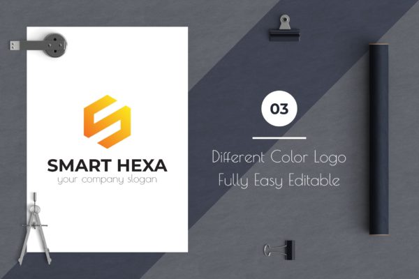 S字母图形Logo设计素材库精选模板 Smart Hexa Awesome Logo Template