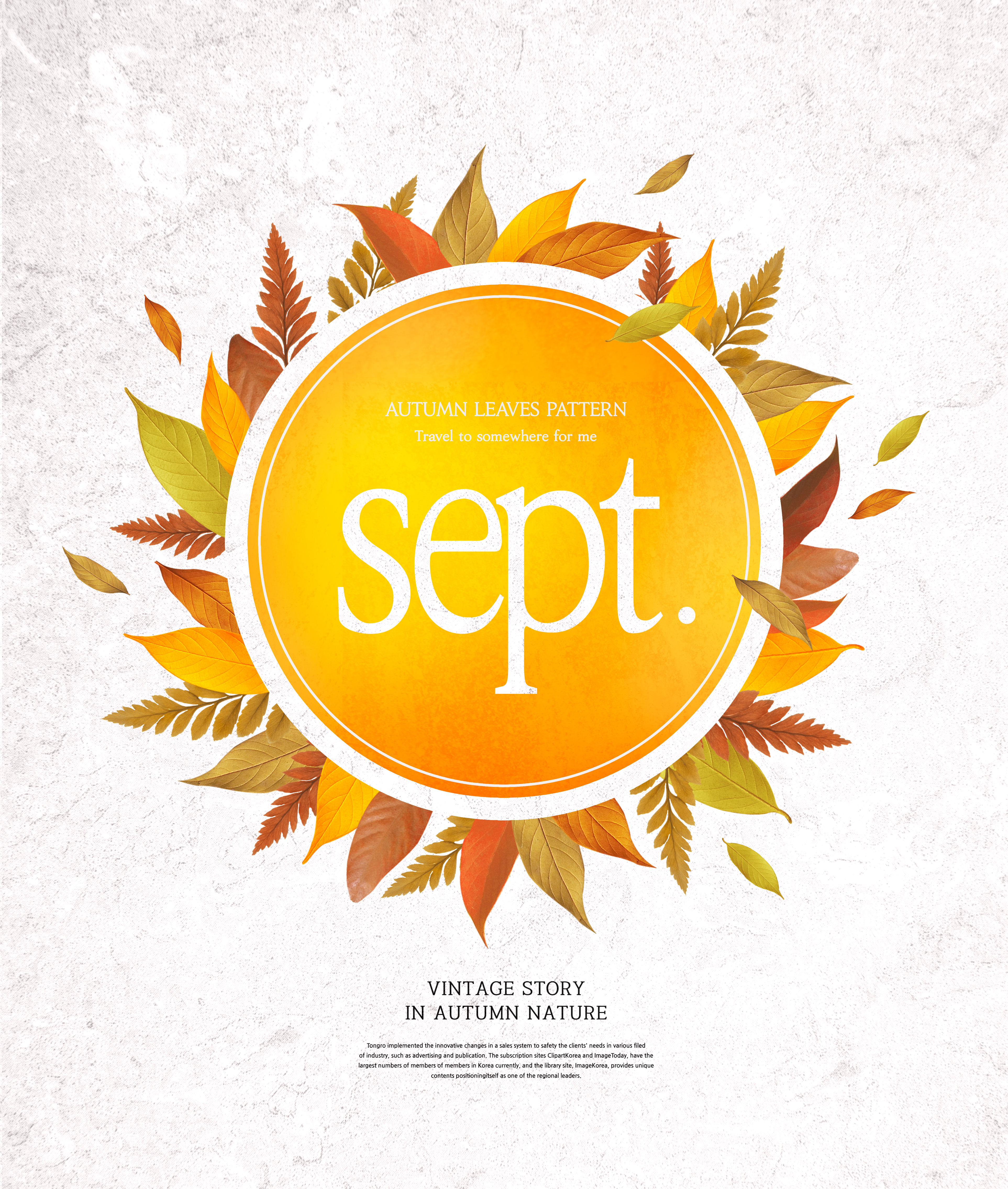 秋天叶子图案海报素材合集插图(2)