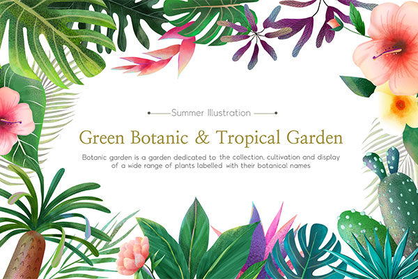 热带绿色植物花卉插画设计素材