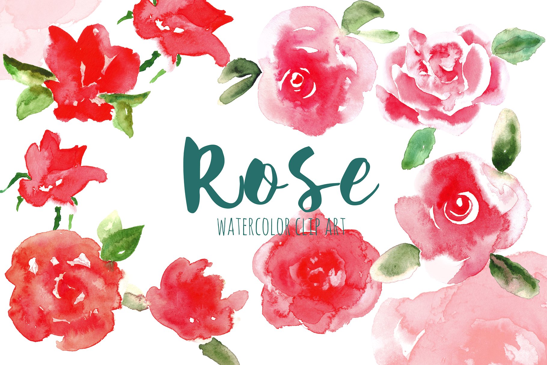血红色水彩玫瑰花剪贴画 Red Rose. Watercolor clip art插图