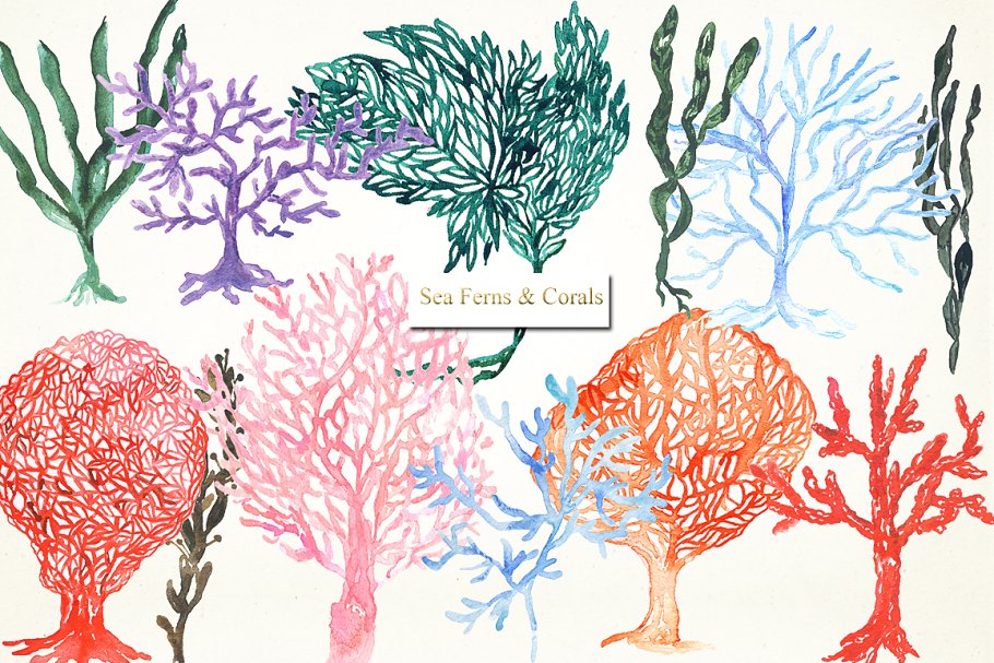 美人鱼与海水彩剪贴画 Mermaid sea. watercolor clipart插图(4)