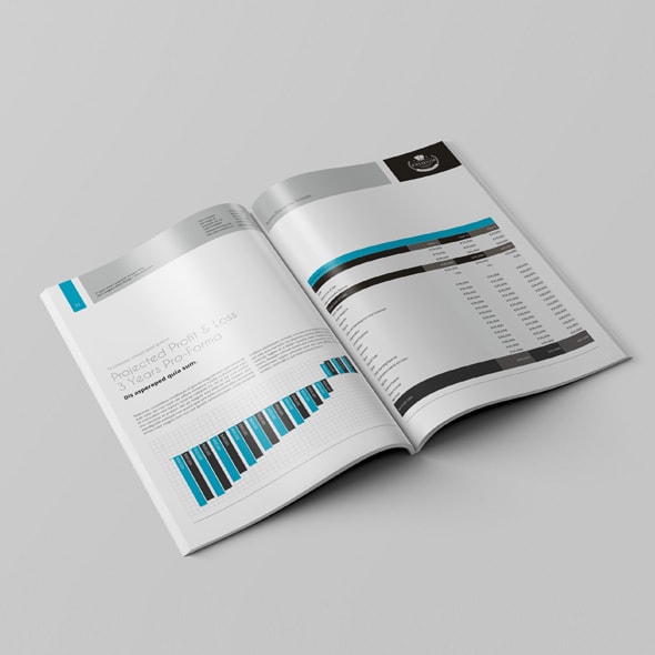 完美展现财务规划的杂志模板下载[indd]插图(2)