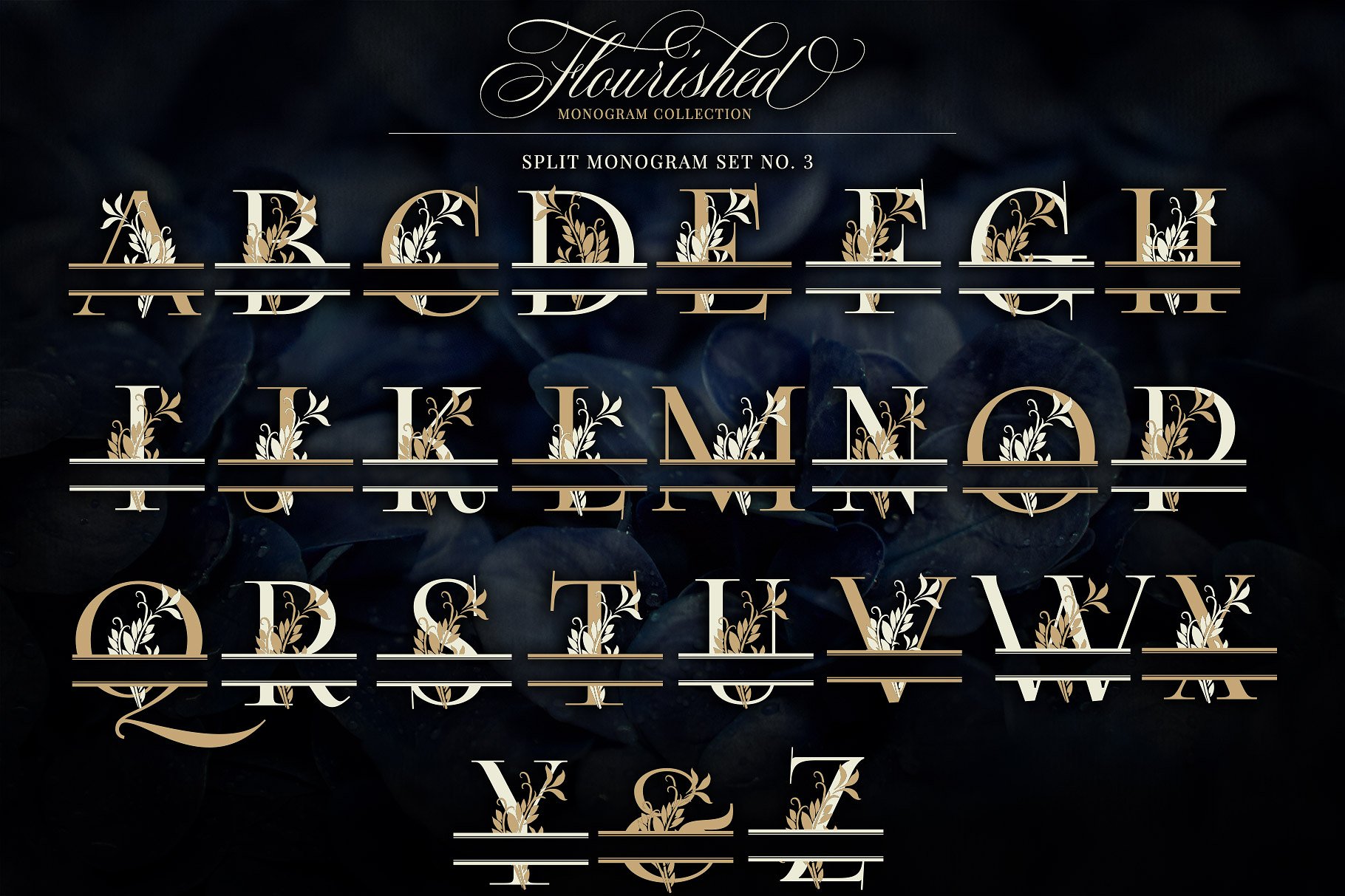 优雅手绘花卉装饰字母矢量素材 Flourished Monogram Collection插图(7)