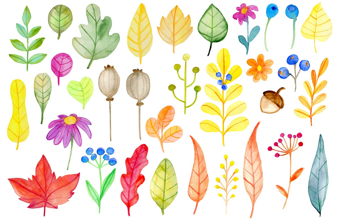 水彩手绘秋天花卉图案PNG素材 Fall Colors Watercolor Design Kit插图(10)