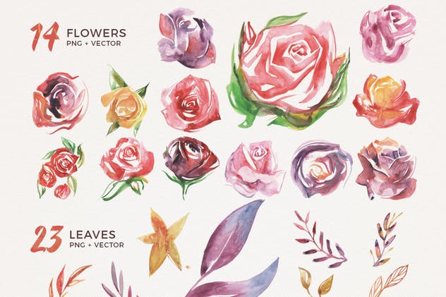 水彩手工设计花卉图案合集 Watercolor Handmade Design Bundle插图(2)