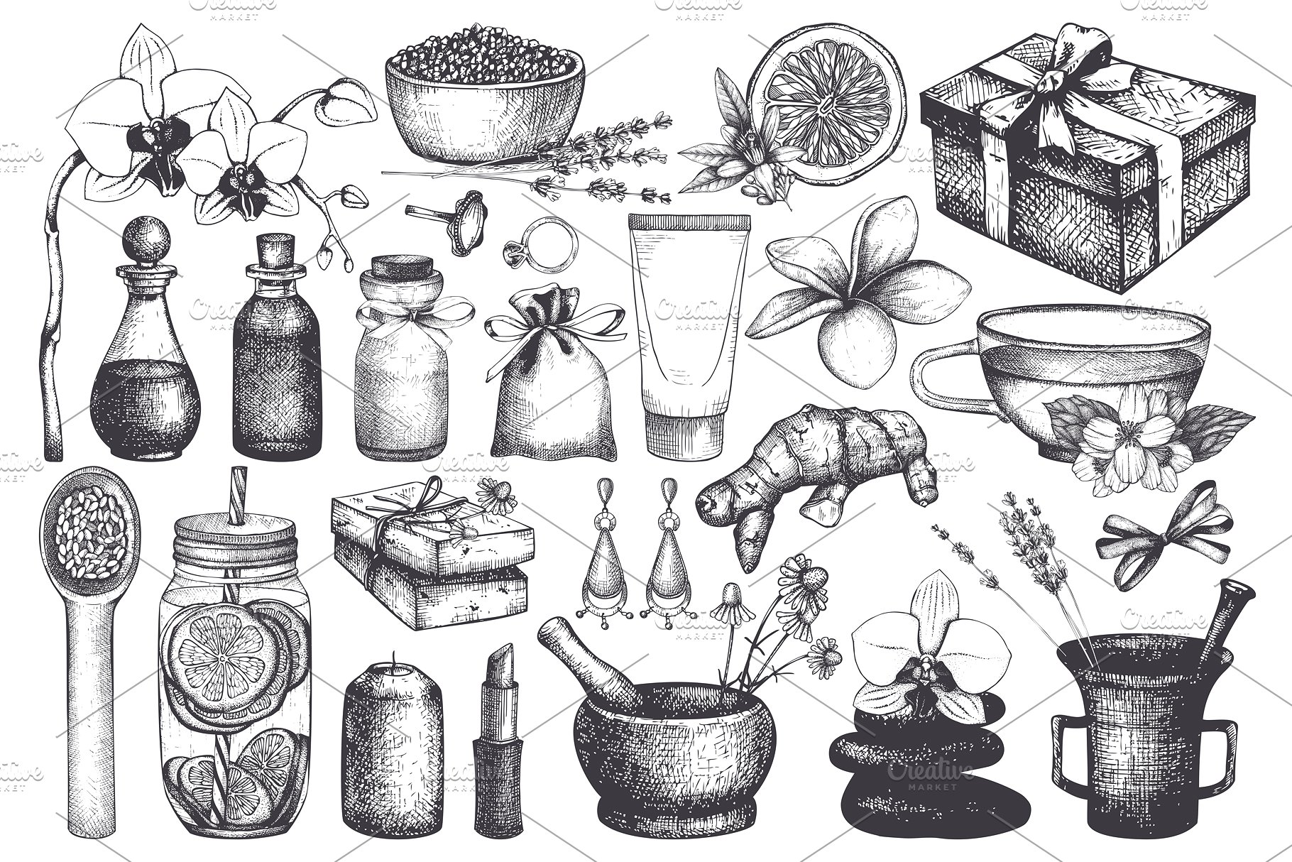 西方美容美妆设计素材 Beauty & SPA Designs Collection插图(1)