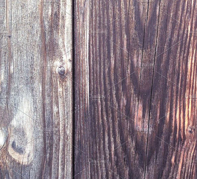 粉尘、金箔及动物毛发纹理图案 Dusty Plum & Mink Textured Patterns插图(2)