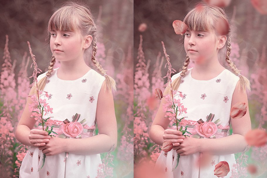 5K高清分辨率花瓣叠层覆盖层素材 5K Petals Overlays插图(9)