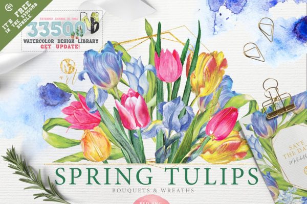 春季郁金香剪贴画 SPRING TULIPS