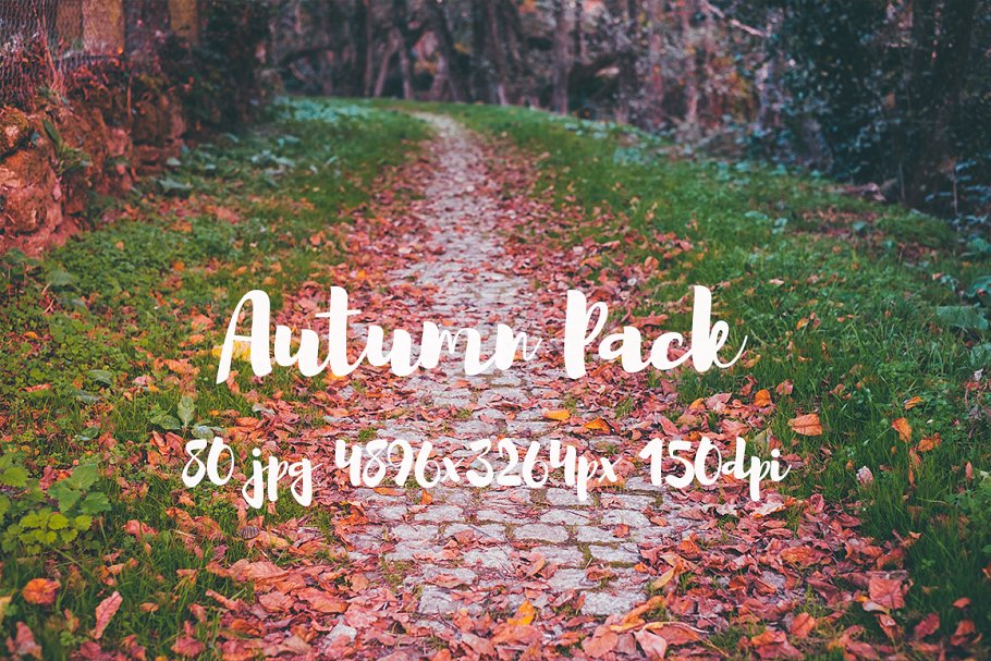 秋天主题高清风景照片素材 Autumn photo Pack插图(12)