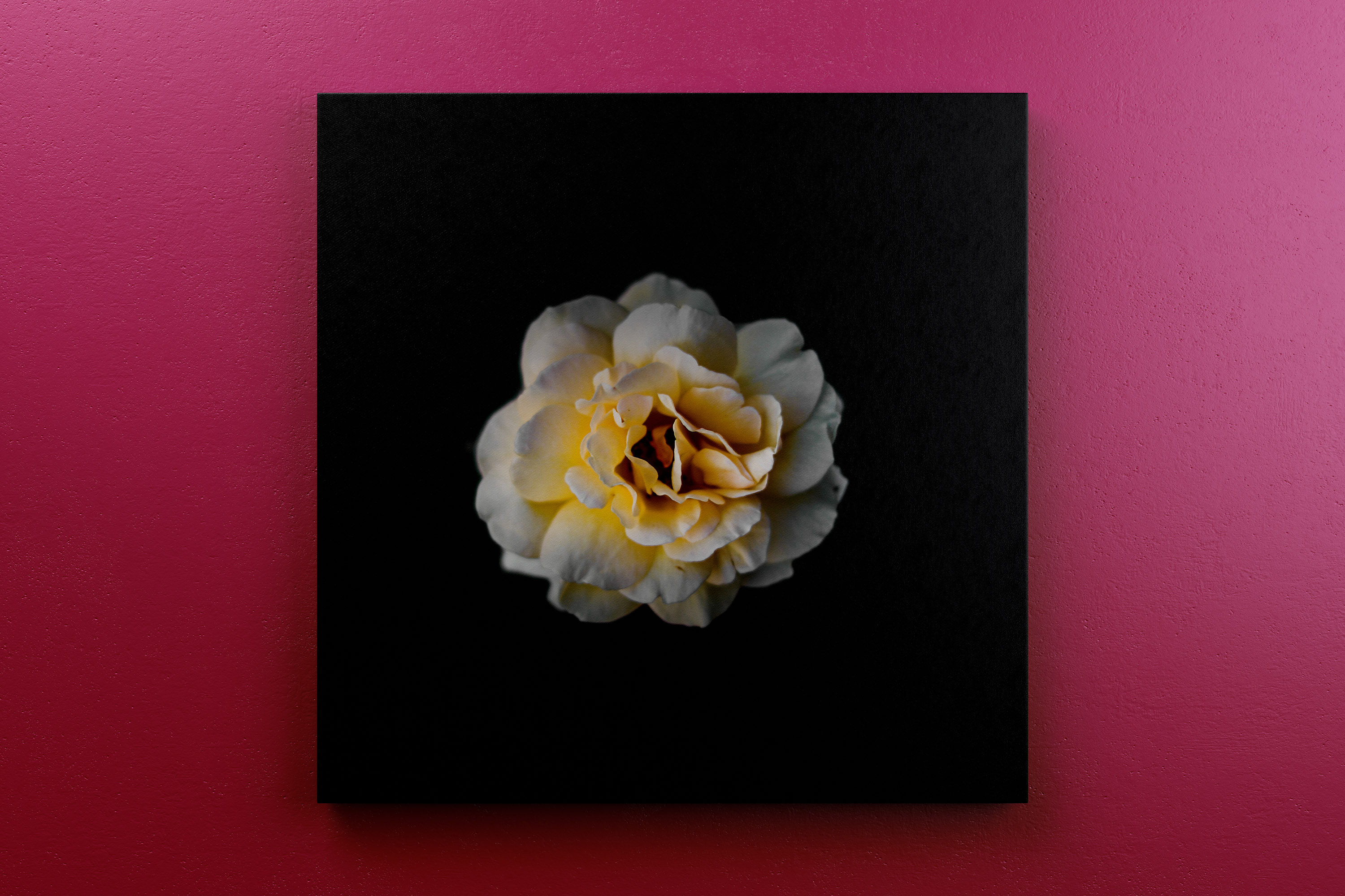 挂墙方形画布画框正视图样机素材 Square Canvas Mockup Hanging on Wall, Front View插图(4)