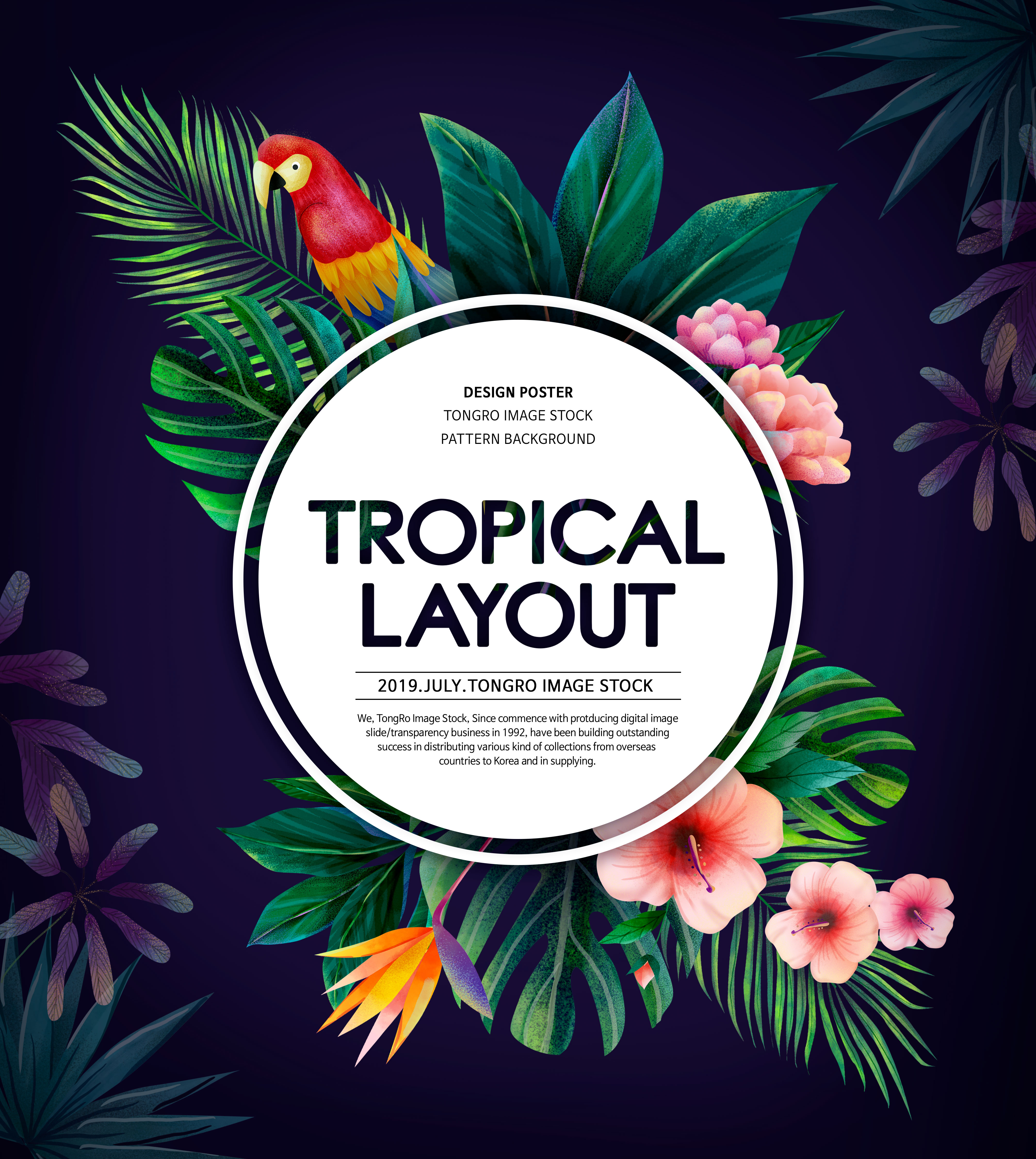 热带植物装饰夏季主题海报设计套装插图(4)