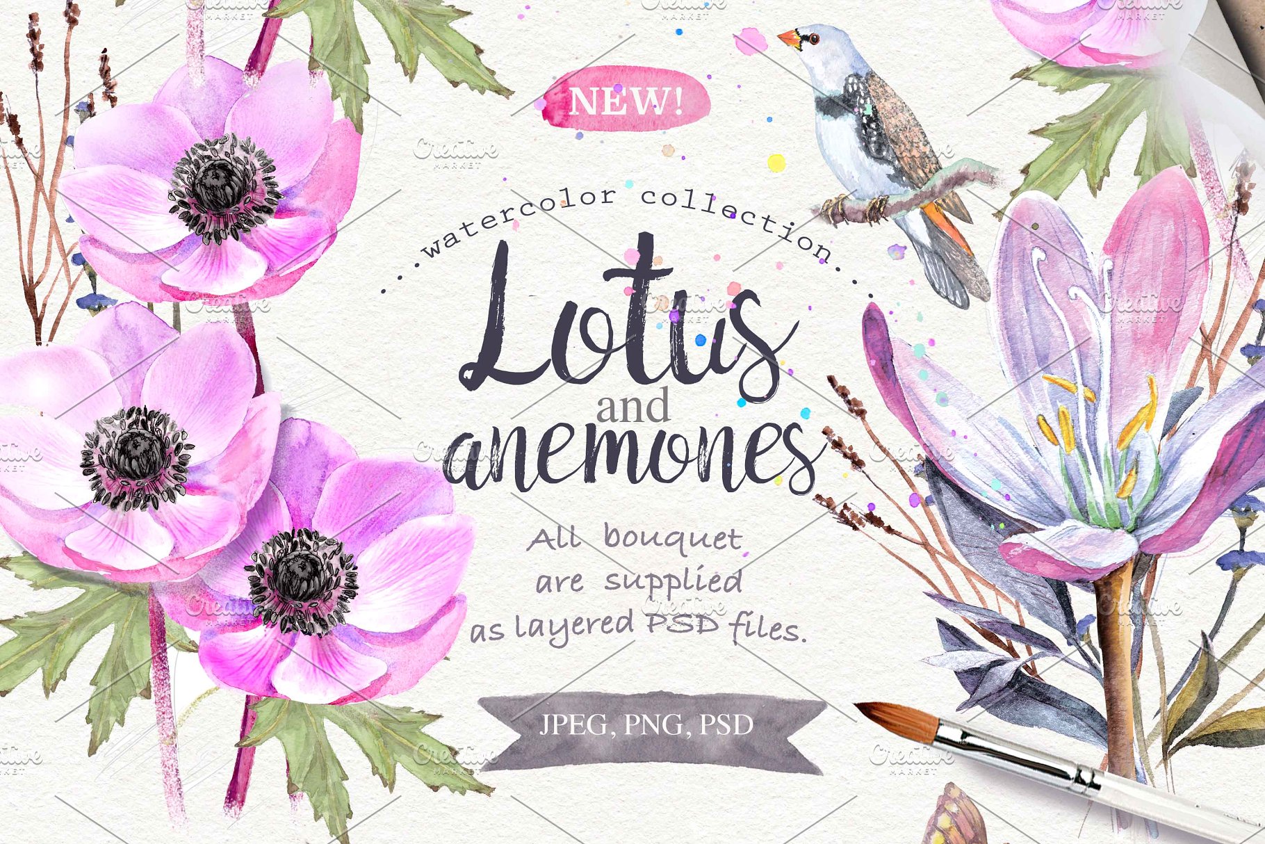 极力推荐：超级水彩元素设计素材包[2.5GB] Wildflowers pack 75 PNG插图(1)