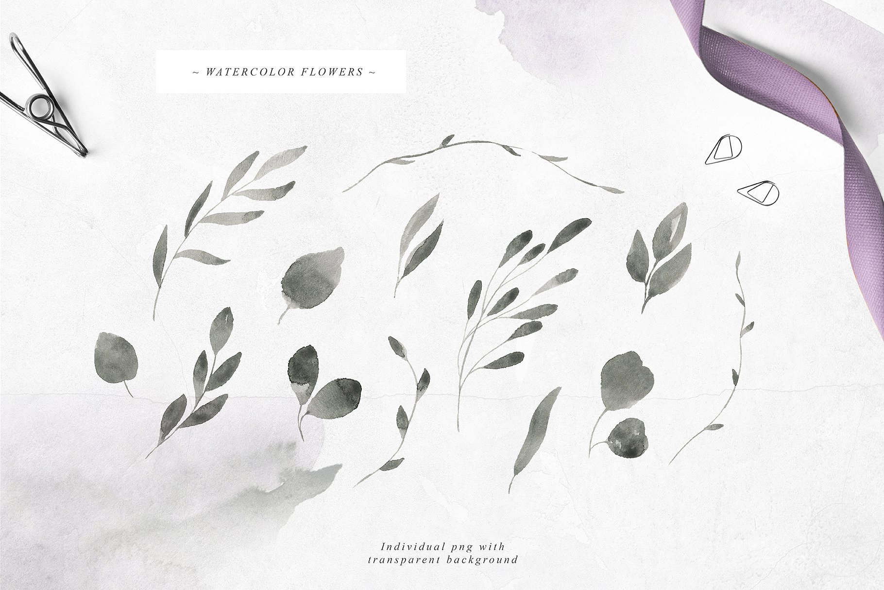 诗情画意手绘水彩元素合集 Magnifique Watercolor Collection插图(5)