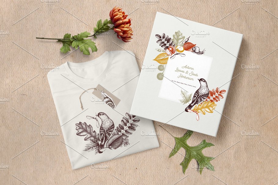 秋天树叶&种子矢量图形 Vector Autumn Leaves & Seeds Set插图(6)