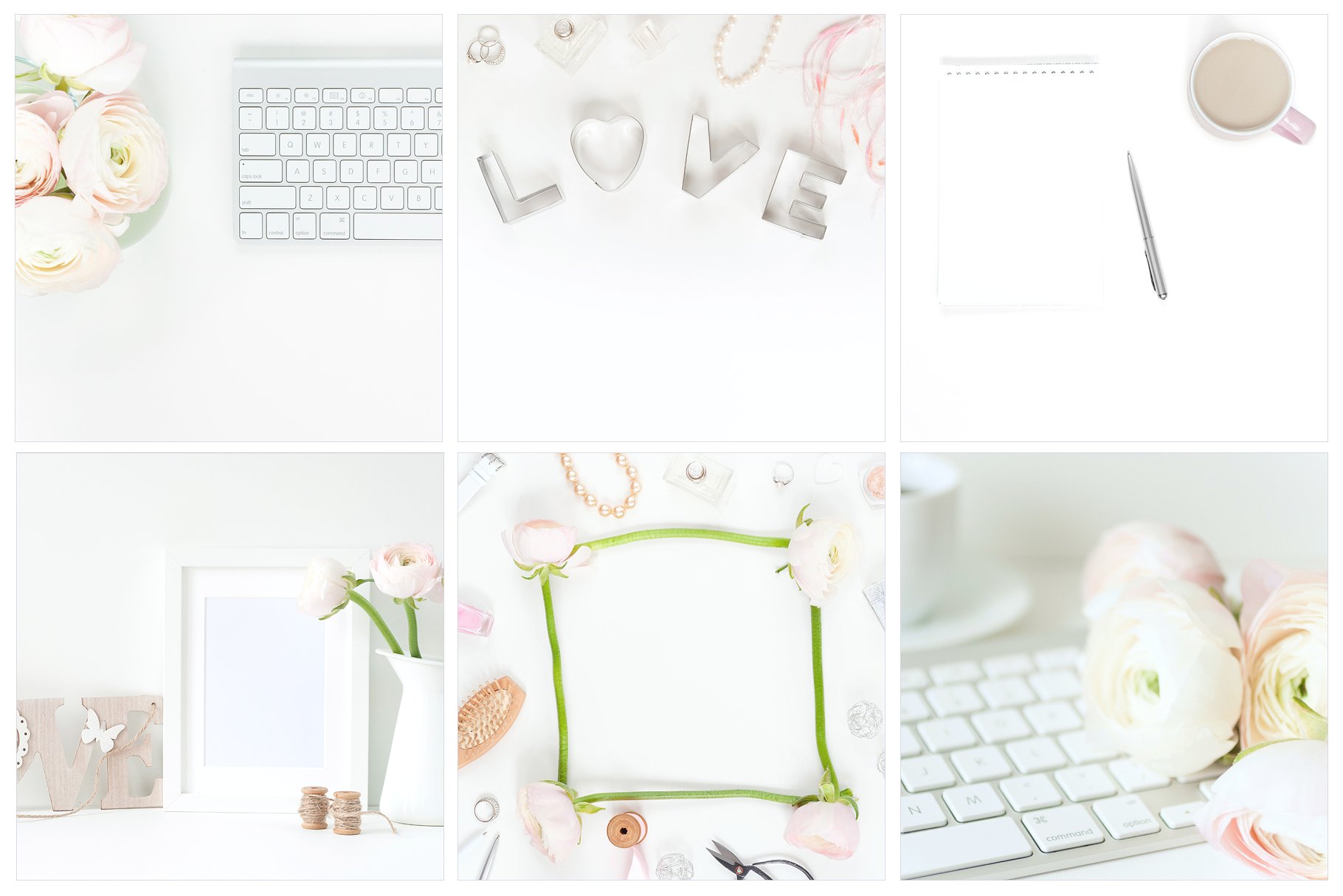 粉红毛茛花卉装饰场景样机 Pink Ranunculus Bundle插图(5)