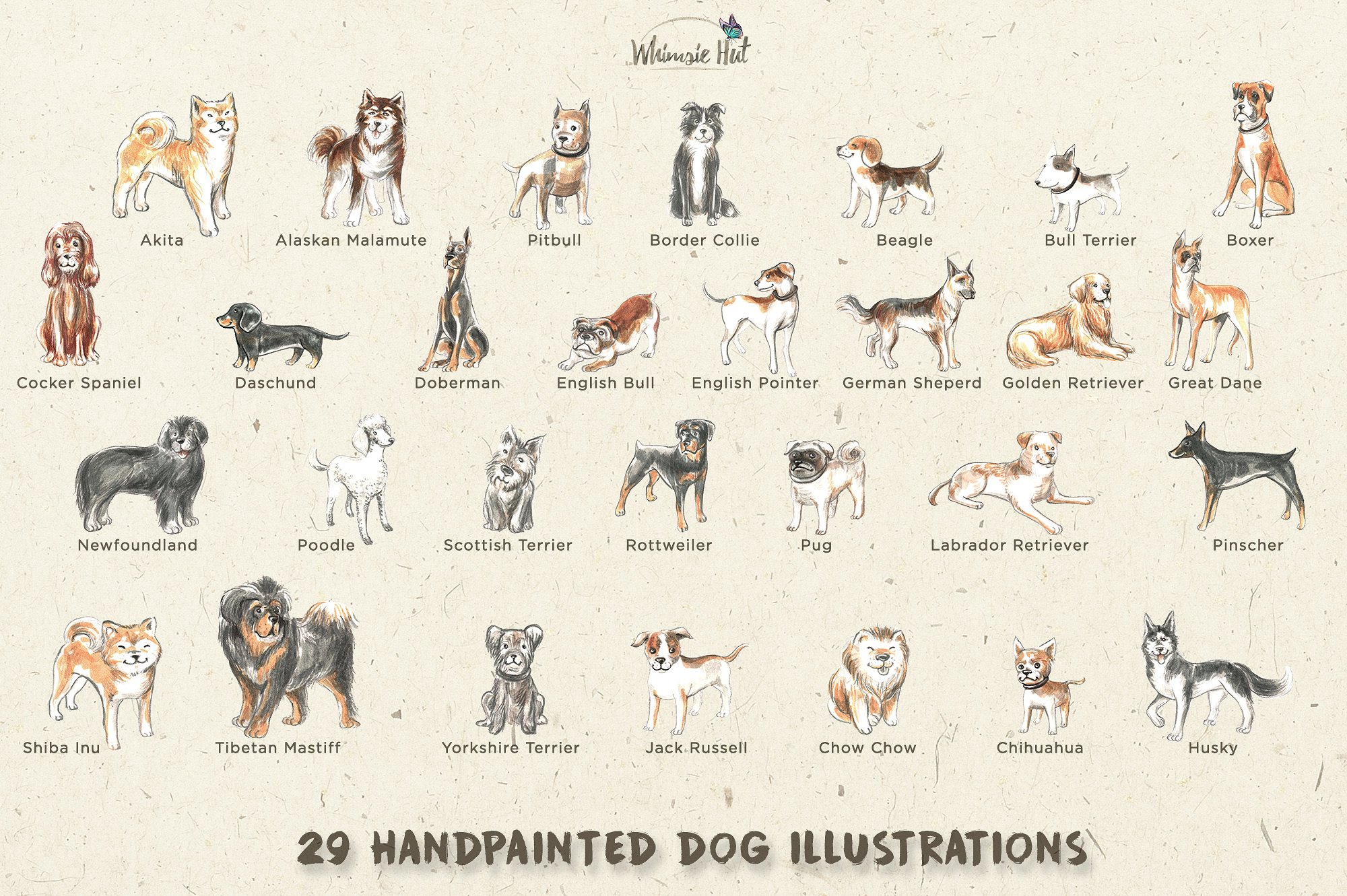 一套手绘的汪星人矢量插画素材下载[png,pdf]插图(1)