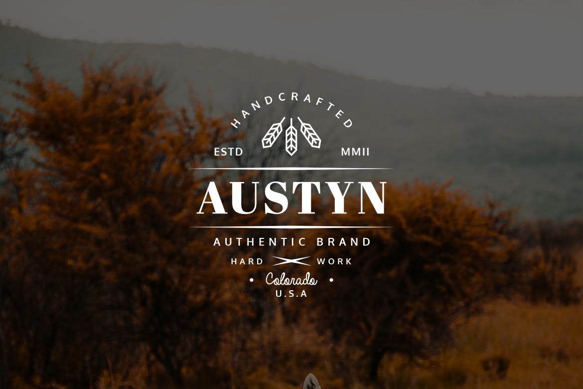 欧美复古设计风格品牌素材库精选LOGO商标模板v27 Vintage Logo & Badge Vol. 27插图(2)