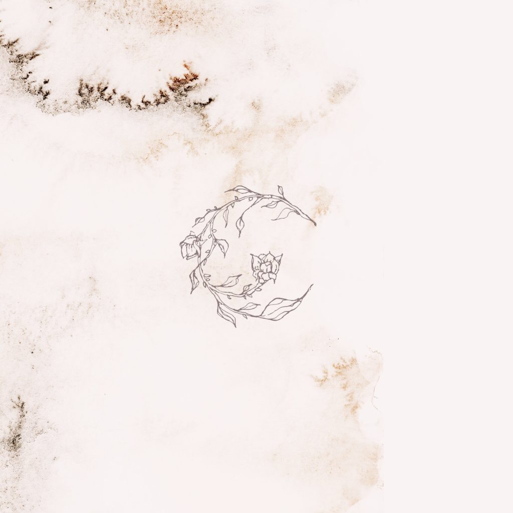 大气典雅的水彩花卉高清背景素材下载3.06G [ai,eps,png,jpg]插图(8)