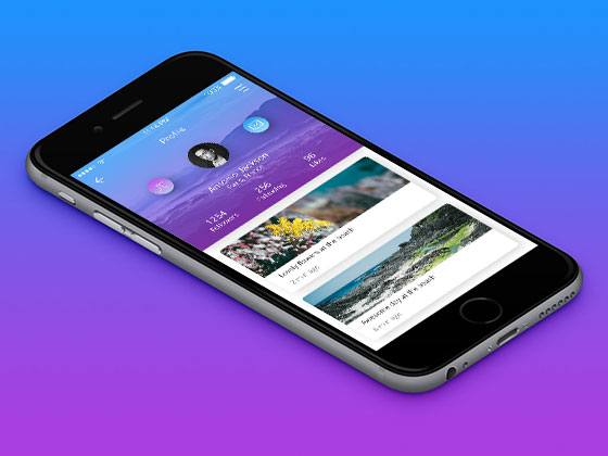 Kolorit 个人资料界面素材之家精选sketch素材