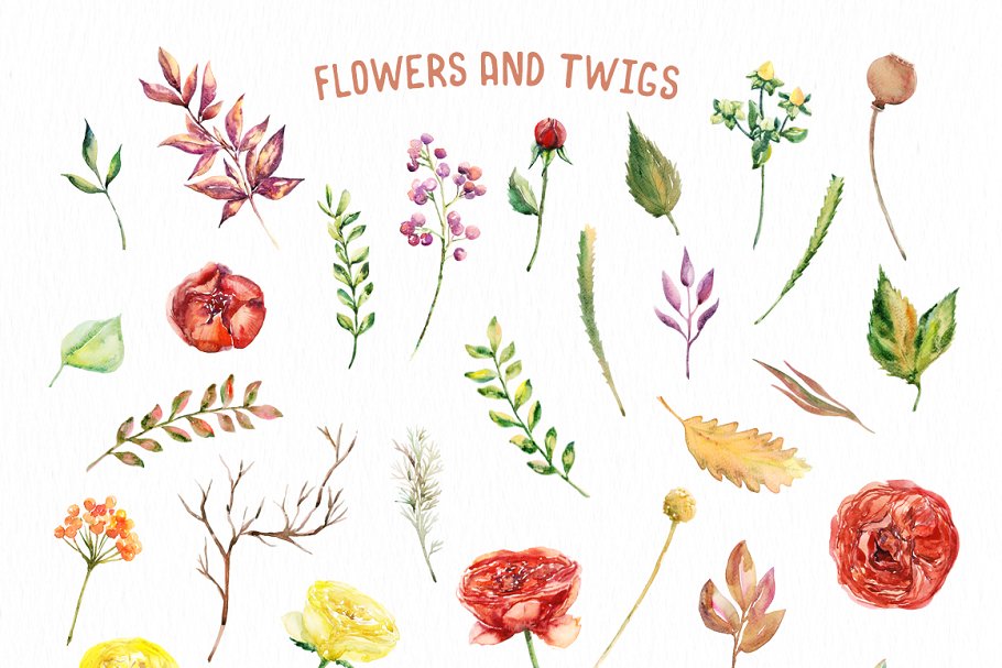 “秋天的故事”-水彩设计元素合集 Watercolor Autumn Story插图(1)