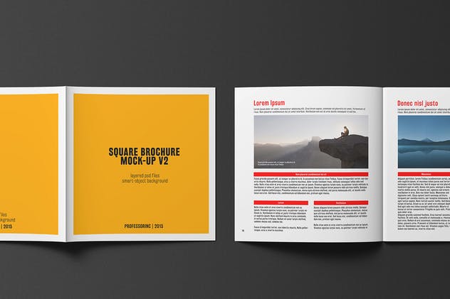 画册目录手册样机模板 Square Brochure / Catalogue Mock-Up插图(7)