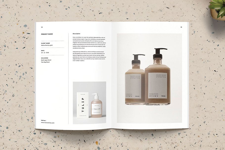 多用途时尚摄影/产品宣传册插图(7)