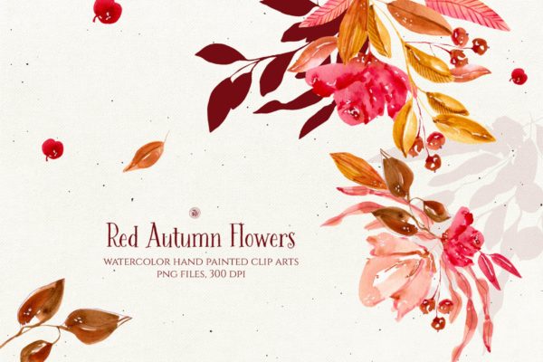 秋天红色水彩手绘花卉剪贴画PNG素材 Red Autumn Flowers