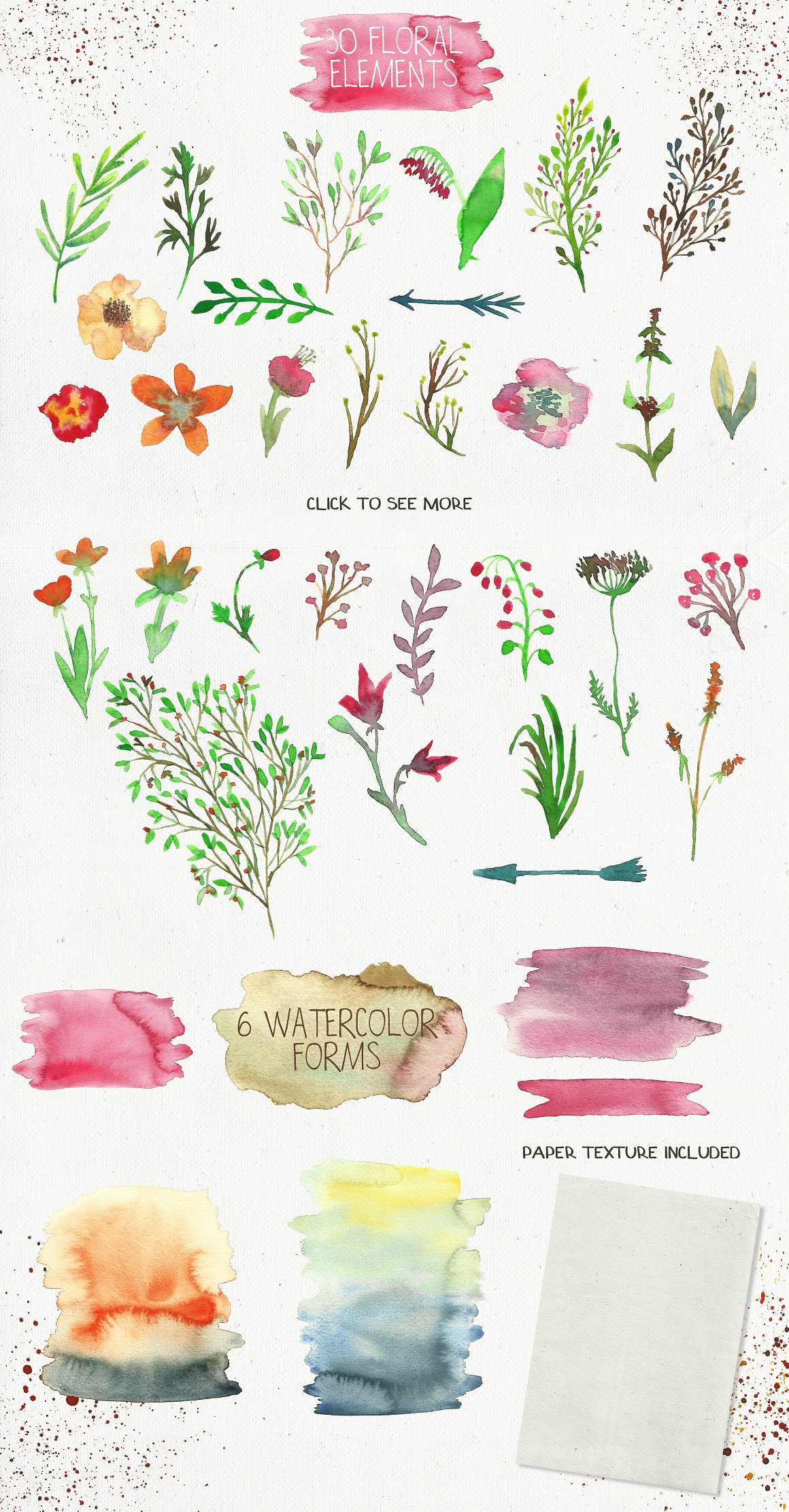 极力推荐：动物水彩剪贴画、纹理、Logo模板等合集 Animal Zone Watercolor collection[1.48GB]插图(6)