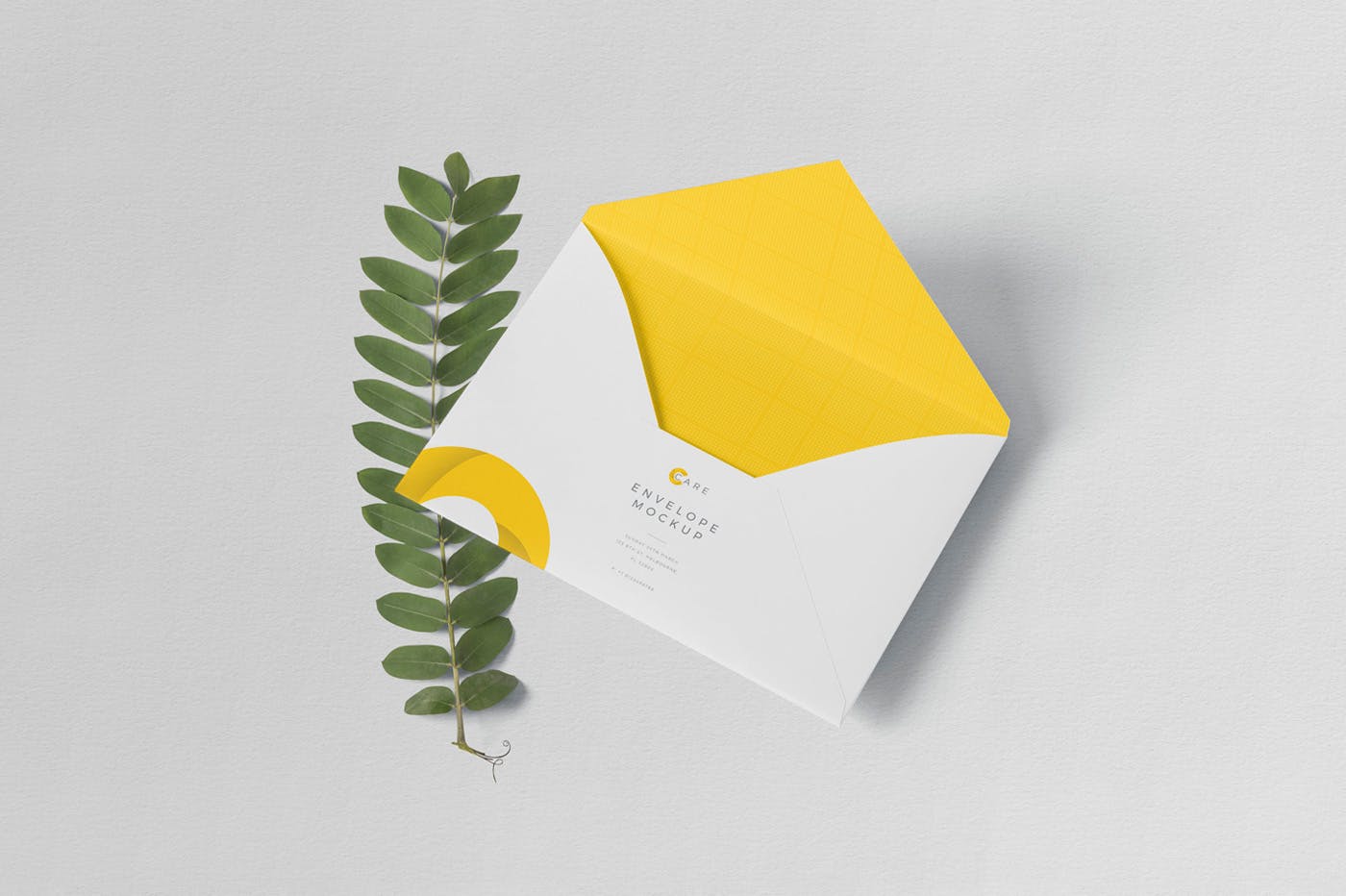 C5尺寸规格企业信封设计图样机素材库精选PSD模板 C5 Envelope Mockups插图(4)